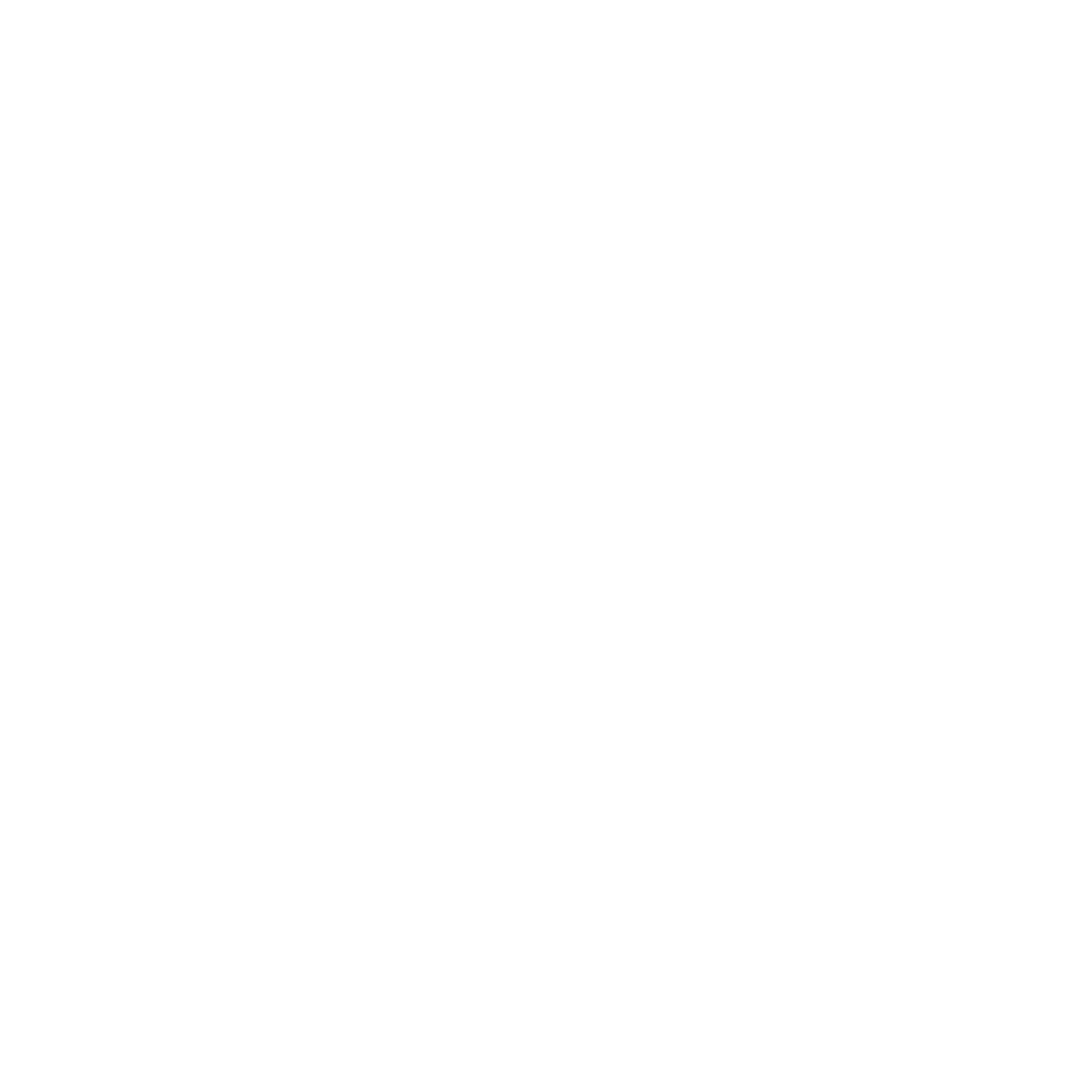 MyCustodyCoach Logo